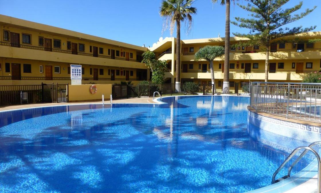 Nice Studio Bart 50 Meters From Playa Las Vistas Arona  Kültér fotó